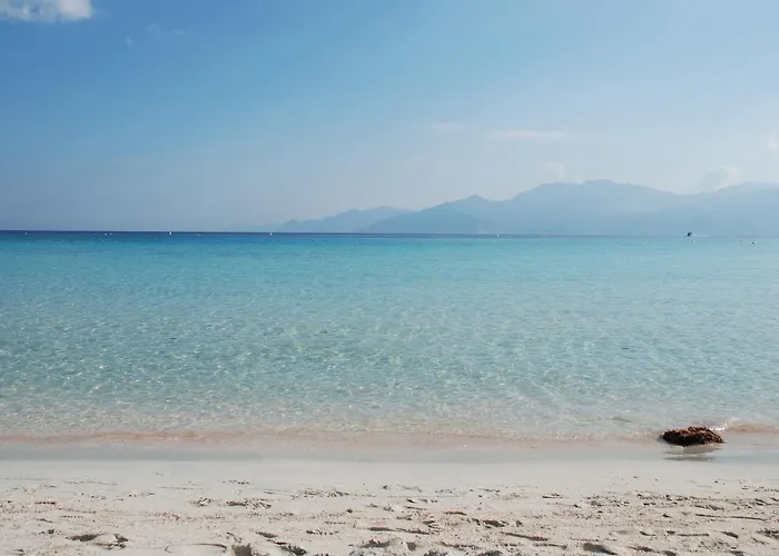 Villa Domaine Vermentinu *