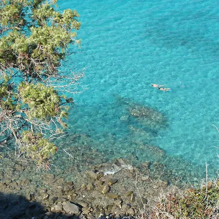 Domaine Vermentinu * Patrimonio